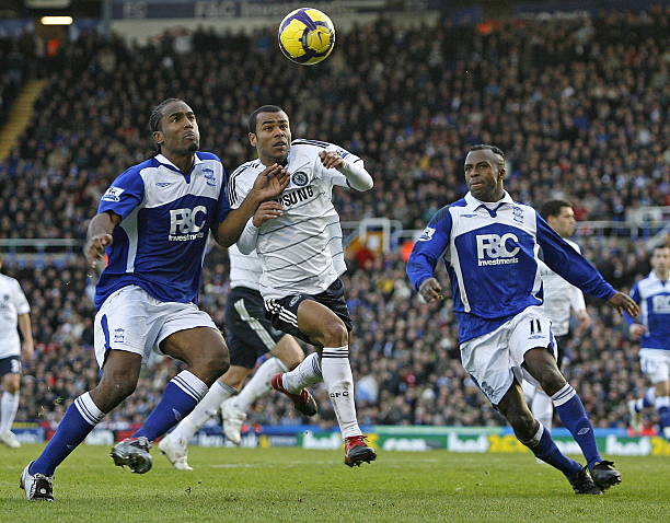 术多样性及 术多样性及